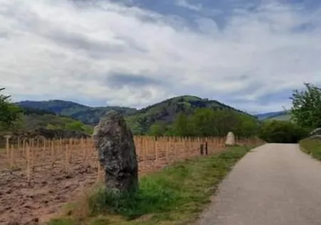 A Apartamento Andlau-au-Val